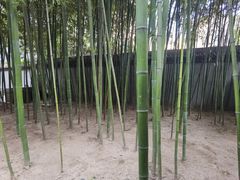 -罔极寺
