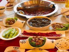 -DaLongYi Hotpot - 大龙燚火锅 - 地道四川老火锅