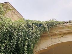 -府河摄影公园