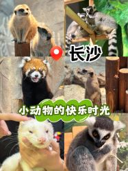 -Zoolung Zoolung动物主题公园(海信广场店)