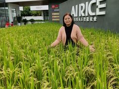 -艾米稻香小镇