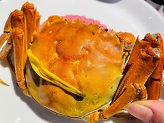 -蟹榭·本帮江浙菜·蟹宴(五角场合生汇商场店)