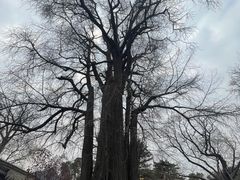 -潭柘寺景区