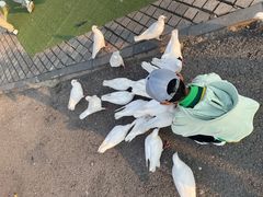 -唐山河头老街国丰维景度假大酒店