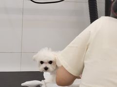 -comecome来吧宠物(奥克斯中心店)