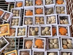 -蓝湾碧波·老字号·疍家非遗海上餐厅