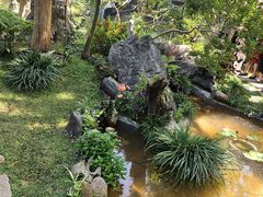 -上海鲜花港