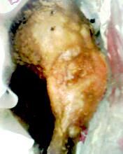 德盛美味炸鸡腿-德盛炸鸡腿(大沽南路店)