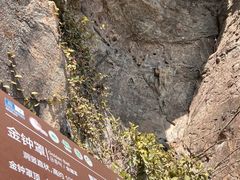 -雁荡山风景名胜区