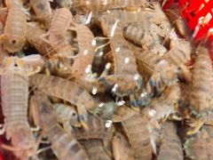 -79号渔船海鲜饭店(华强北店)