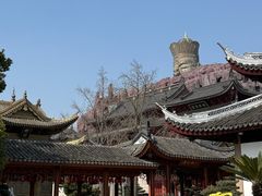 -上海东林寺(金山区)