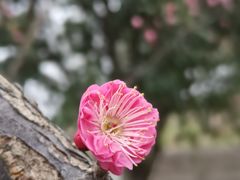 -盘门景区