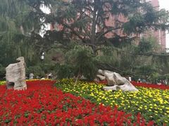 -迎泽公园