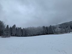 -武陵山森林公园