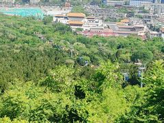 -千佛山风景名胜区