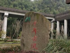 -仙霞关景区