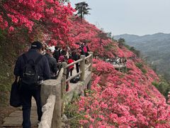 -木兰云雾山