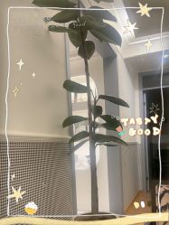 -Fancy梵汐·轻奢量肤定制