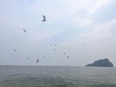 -棒棰岛宾馆景区