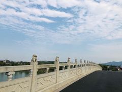 -西京湾花海