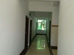 android_upload_pic-东郊椰林