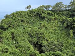 -海口火山口国家地质公园