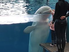 -福州罗源湾海洋世界旅游区