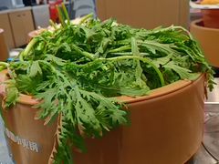 -龍歌自助小火锅(李沧丽达店)