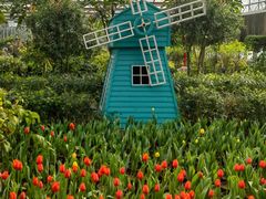 -南宫五洲植物乐园