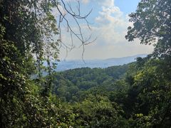 -火炉山森林公园