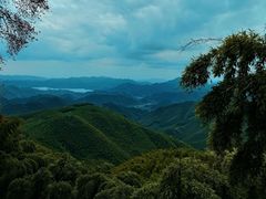 -莫干山风景区