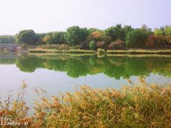 -大兴滨河森林公园