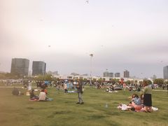 -栖露营camping·天幕烧烤·团建拓展·采摘营地