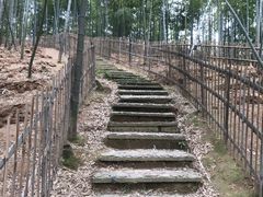 -宁波浙东大竹海景区