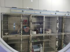 -萌兽医馆·绝育·24小时内科·宠物医院(德胜店)