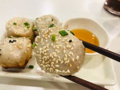 -咬不得高祖生煎·简餐(天城商业中心店)