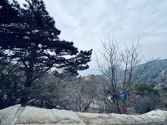 -泰山风景名胜区