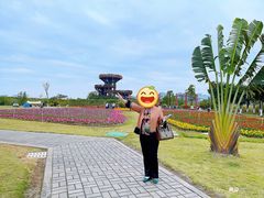 -芒洲湿地公园
