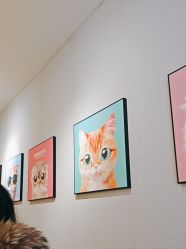 -洗脸猫·洗脸吧