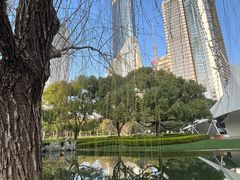-陆家嘴中心绿地