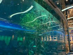 -瑞德姆美人鱼海底演艺主题餐厅(亚龙湾店)