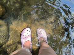 -广州白江湖森林公园