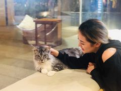 -瞄一喵猫咖(格力海岸店)