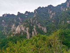 -王顺山国家森林公园