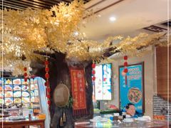 大堂-邵年鸽(杨庄店)