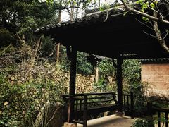-杭州植物园