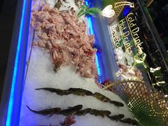 -欢乐牧场(T12店)