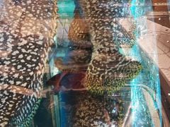 -金翠皇宫粤菜·点心·海鲜(科技园店)