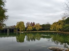 -贡湖湾湿地公园