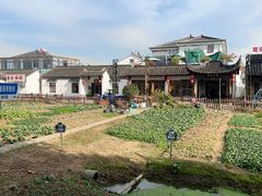 -莲花岛景区